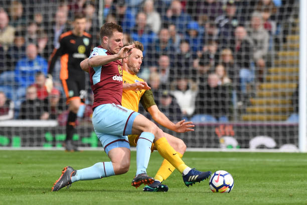 阿莱如同猛 阿莱如同猛